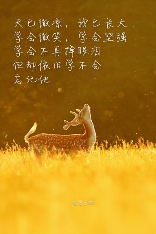 那个时候我学会了坚强