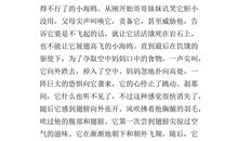 什么的启示作文