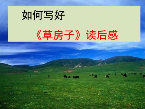 草屋红门2