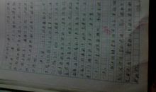 春节的作文600字