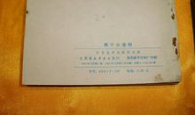 两个小洛特读后感