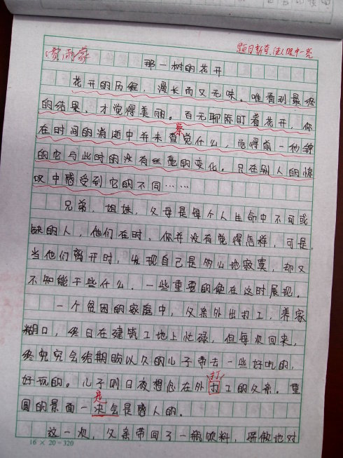 关于成长的构图