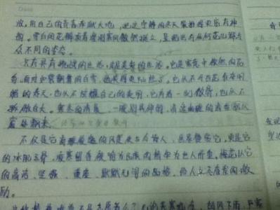 难忘的童年作文500字