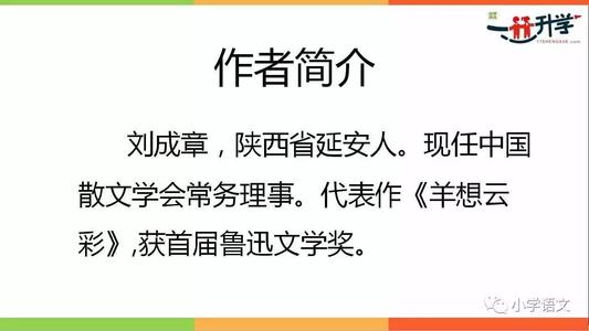 看完安赛腰鼓