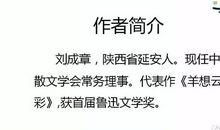 安塞腰鼓读后感