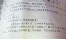 2013年高考满分作文江苏卷:一“石”激起千层浪