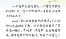 描写燕子的作文