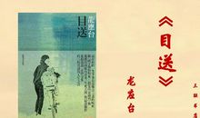 龙应台目送的读后感