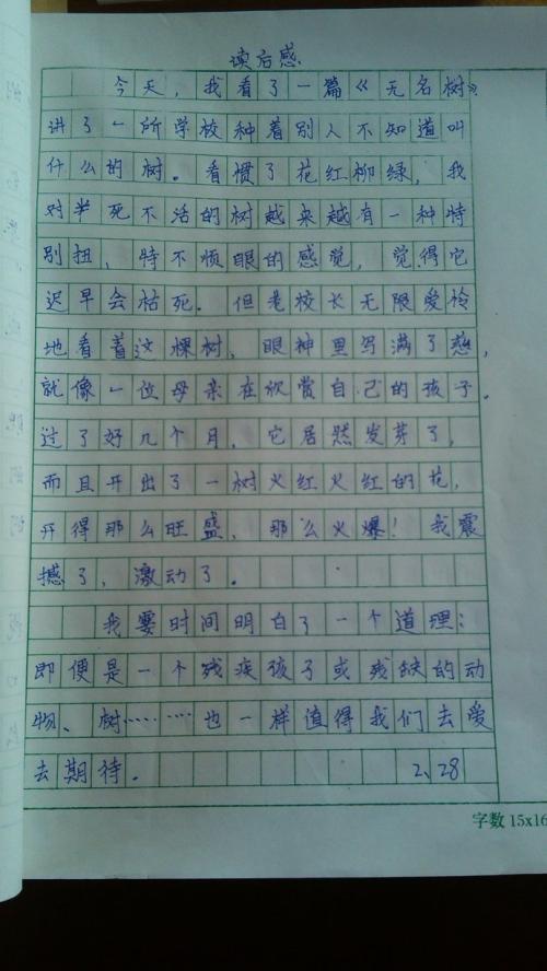 七个儿子的歌
