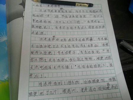200字写旅行论文