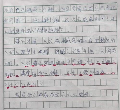 征服了我600字