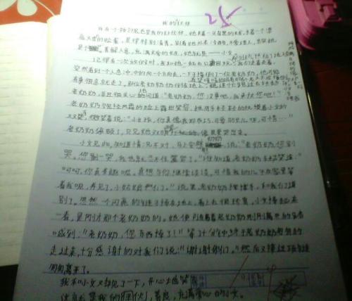 写小伙伴的作文1000字