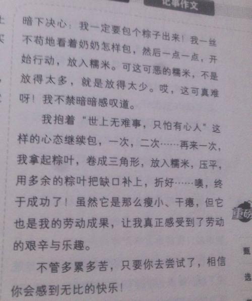 家务作文500字