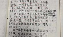 迷人的校园作文