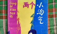 两个小淘气的读后感