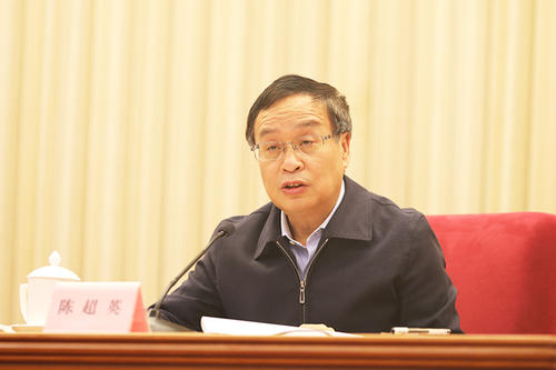大姐书记陈超英