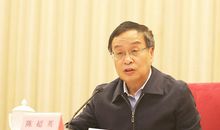 大姐书记陈超英读后感