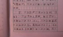 十一游记作文300字