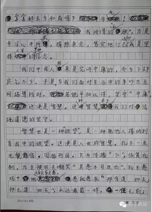 2013年高考满分作文江苏试卷：萤火虫