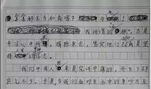 2013年高考满分作文江苏卷:萤火星空