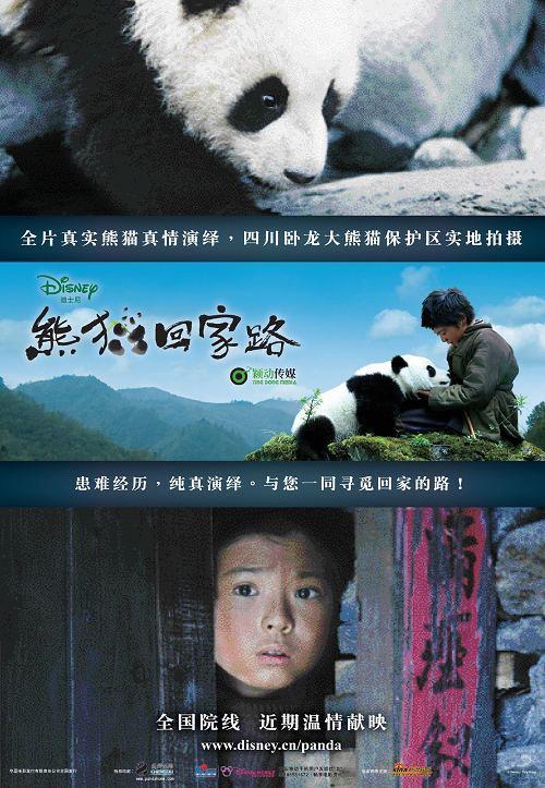 关于熊猫回家之路的思考