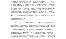 家乡的臭豆腐作文