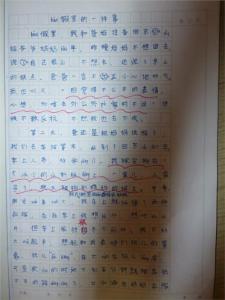 关于寒假作文的一件事