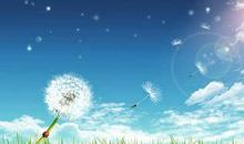 追梦之旅作文800字