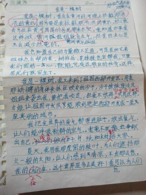 我如何看待构图