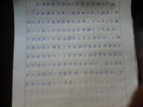 写动物构图300个单词
