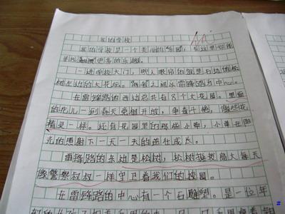 关于高中生活的组成
