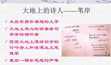 大地上的事情读后感