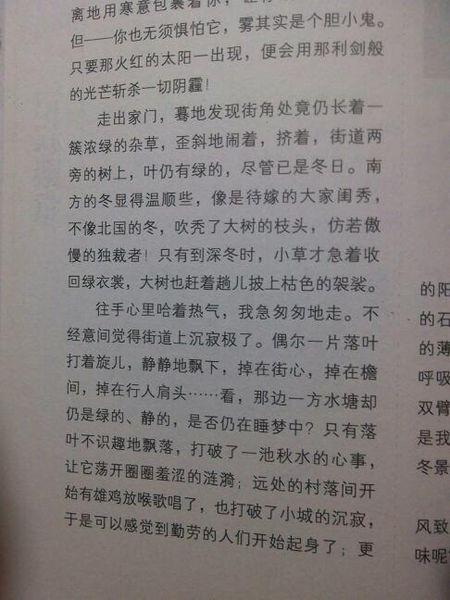 冬季风光的组成