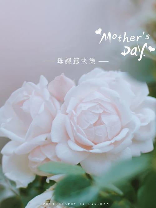母爱温度构成