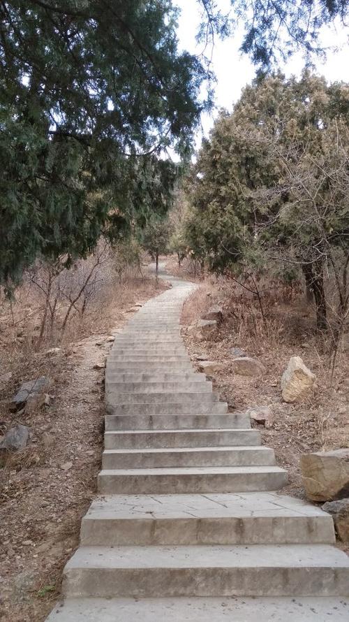 每周登山