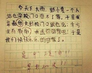 写奶奶的作文