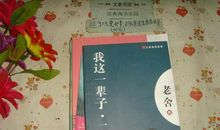 我这一辈子读后感