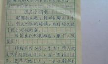 那些温暖的记忆作文