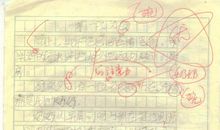 第一次洗碗300字