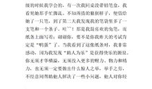 温暖的阳光作文