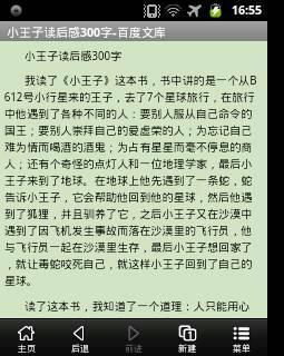 阅读后300字