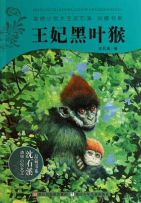 看完公主黑叶猴