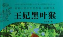 王妃黑叶猴读后感