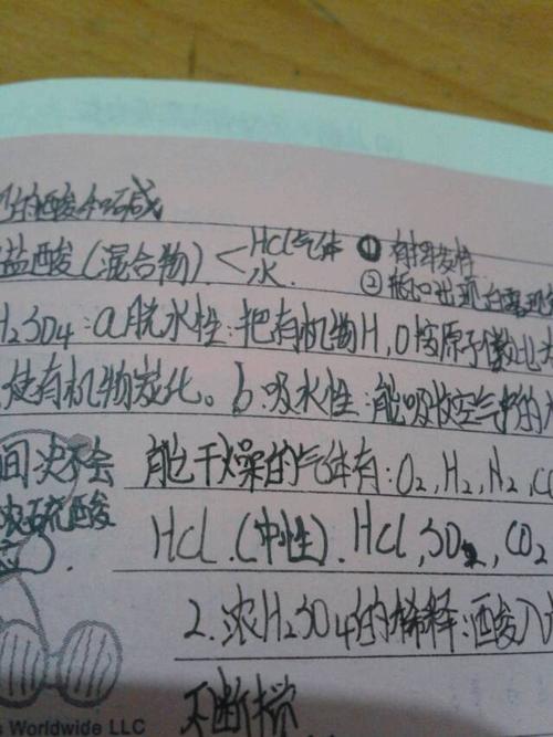 写持久性论文