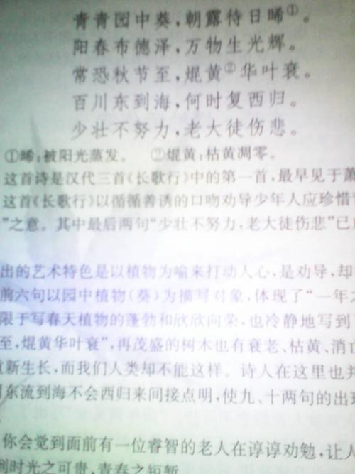 珍惜构图的尽头