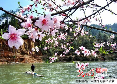 春天风景构成