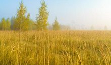 温暖的春天作文