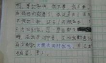 母爱初二记叙文作文