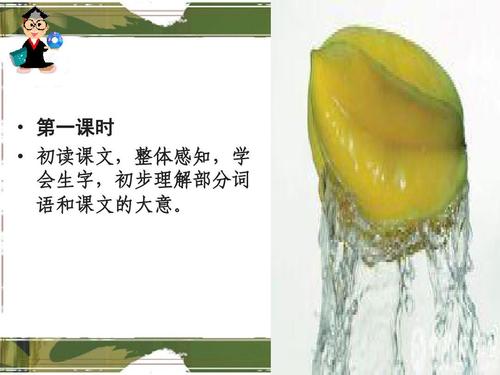 看完杨桃的画
