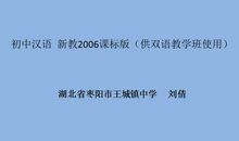 冰淇淋的眼泪读后感